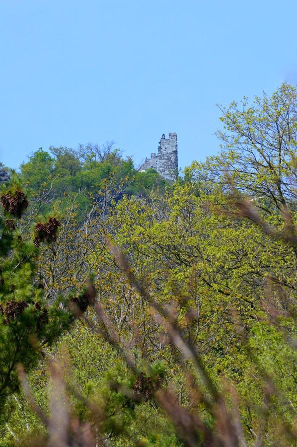 Hotel Weinhaus Hoff Bad Honnef Bagian luar foto